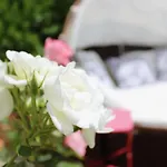 La Maison Des Vendangeurs 6 Olonzac