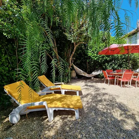 La Maison Des Vendangeurs 6 * Olonzac